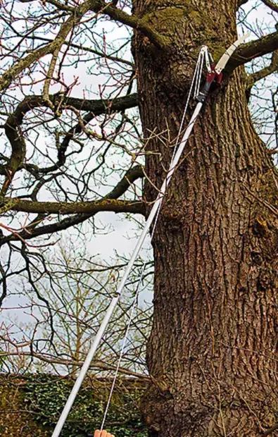 Kent & Stowe toppröjare - Grensaxar och sågar - 5060396791840 - 1