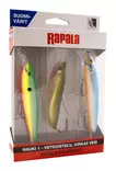Rapala Kalatakuu Gädda 1 - trolling - Beten och flugor - 6416173026190 - 1
