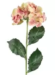 Hortensia 60 cm rosa/grön - Hobbyartiklar - 6410416486970 - 1
