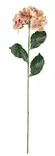 Hortensia 60 cm rosa/grön - Hobbyartiklar - 6410416486970 - 2