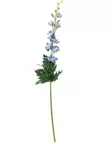 Riddarsporre 76 cm - Hobbyartiklar - 6410416524580 - 2