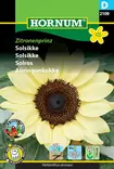 Solros 'Zitronenprinz' - Frön och sättpotatisar. - 5708787021090 - 1
