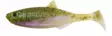 Patriot Baitfish jigg 6 cm - Beten och flugor - 6417512539470 - 1