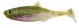 Patriot Baitfish jigg 8 cm - Beten och flugor - 6417512539630 - 1