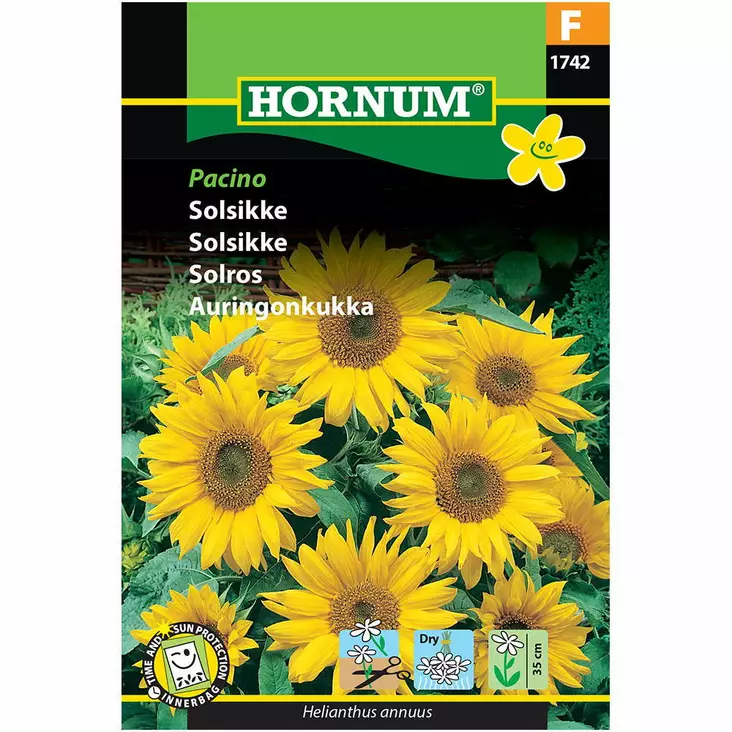 Solros ‘Pacino’ - Frön och sättpotatisar. - 5708787017420 - 1