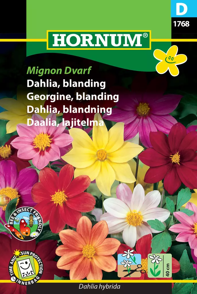 Mignon Dvärg Dahlia - Frön och sättpotatisar. - 5708787017680 - 1