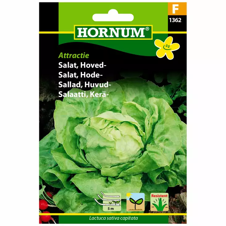 Sallat 'Attraction' fröband - Frön och sättpotatisar. - 5708787013620 - 1