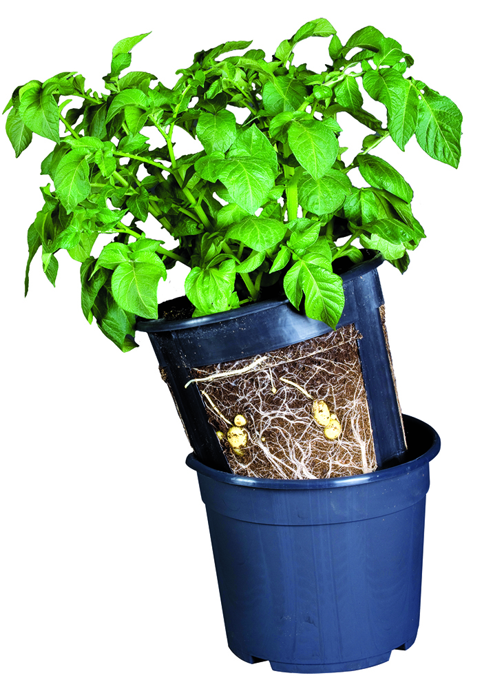 PotatoPot potatisodlingskruka - Plantuppfödning - 5700002064400 - 1