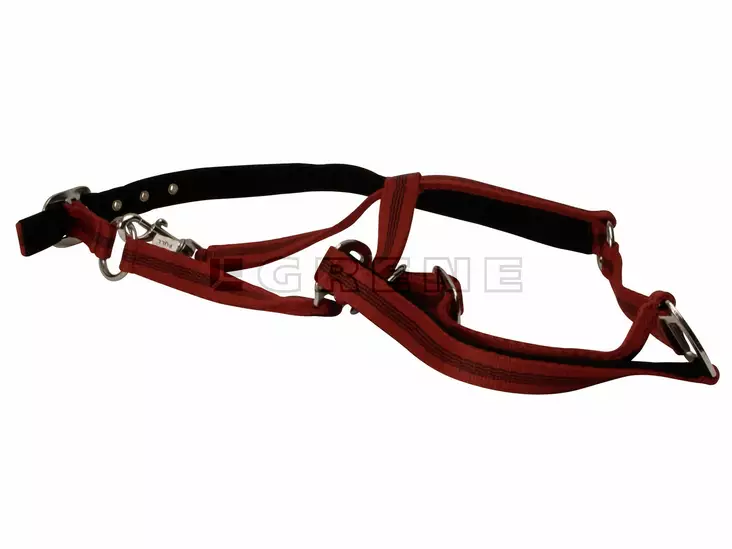 Träns, Mustang, röd/svart, Full - Runor, dukar - 4018653003190 - 1