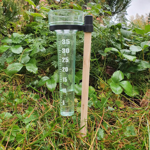 Regnmätare med trästång - Vattenkannor, sprayflaskor - 6430068431500 - 1