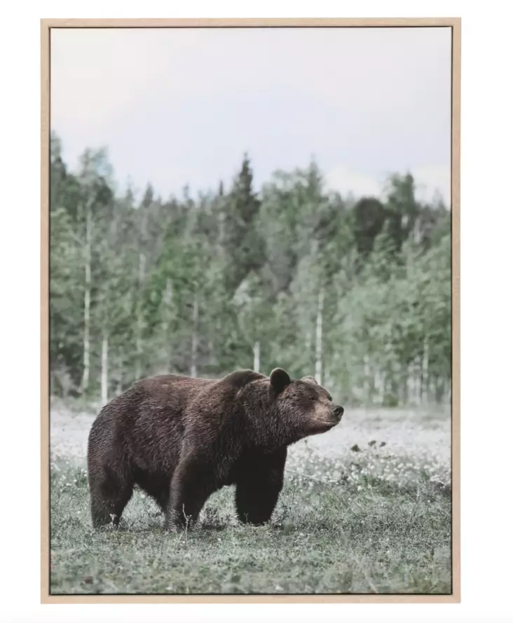 Målning Björn 50x70 cm - Naturrelaterade produkter - 6410416121130 - 1