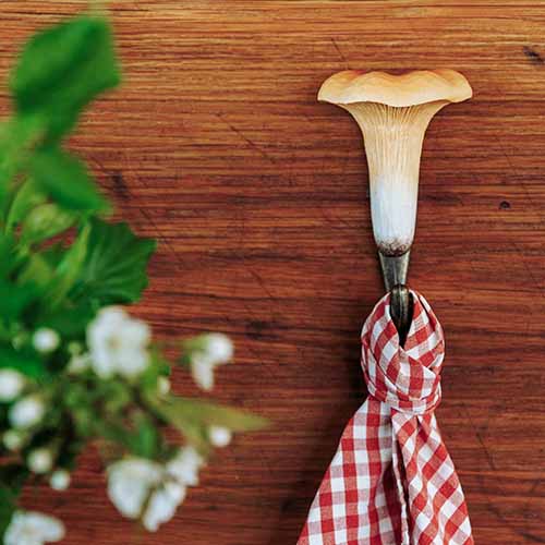 Wildlife Garden väggkrok Kanttarelli - Naturrelaterade produkter - WG4550 - 1