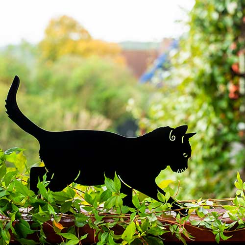 Wildlife Garden silhuett Katt - Trädgårdsskulpturer, dekorationer - WG750 - 1