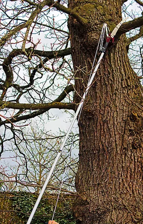 Kent & Stowe toppröjare - Grensaxar och sågar - 5060396791840 - 1