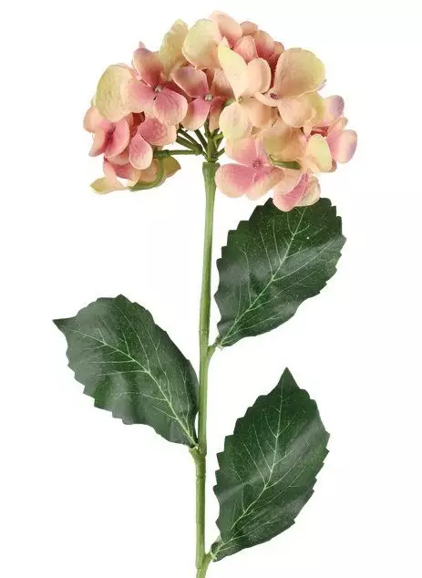 Hortensia 60 cm rosa/grön - Hobbyartiklar - 6410416486970 - 1