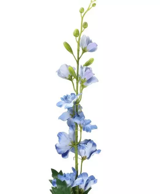 Riddarsporre 76 cm - Hobbyartiklar - 6410416524580 - 1