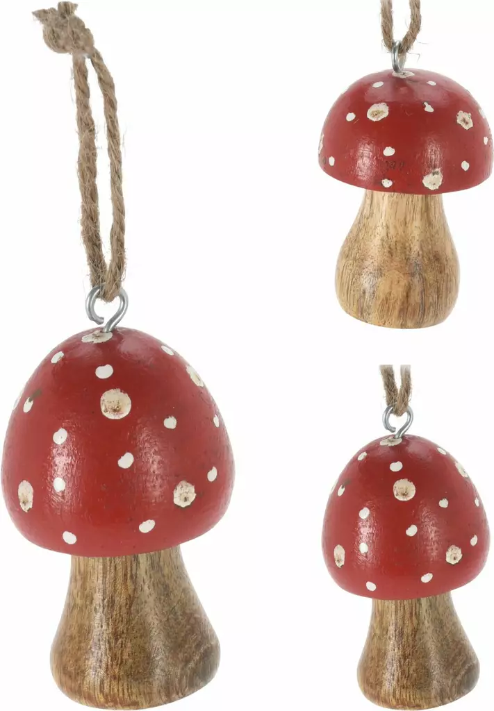 Hängande fluga dekoration - Juldekorationer - 8721037128230 - 1