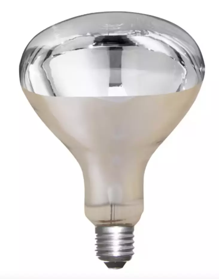 Infraröd lampa 150W klar - Djurskötselutrustning - 4018653222430 - 1