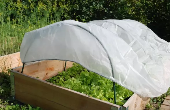 Fodertäcke för lavakaulus - Andra trädgårdstyger - 6430068433030 - 1