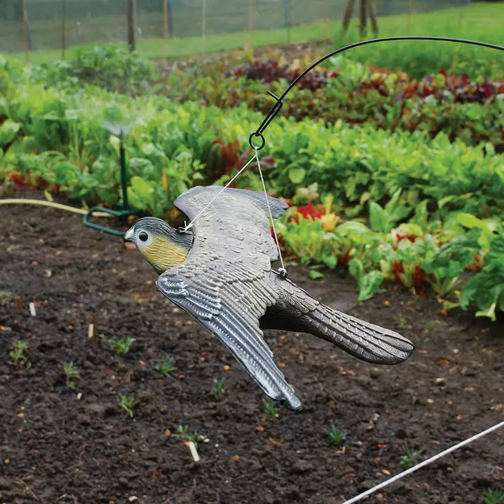 Flygande hök - Fågelskydd - 5036200129710 - 1