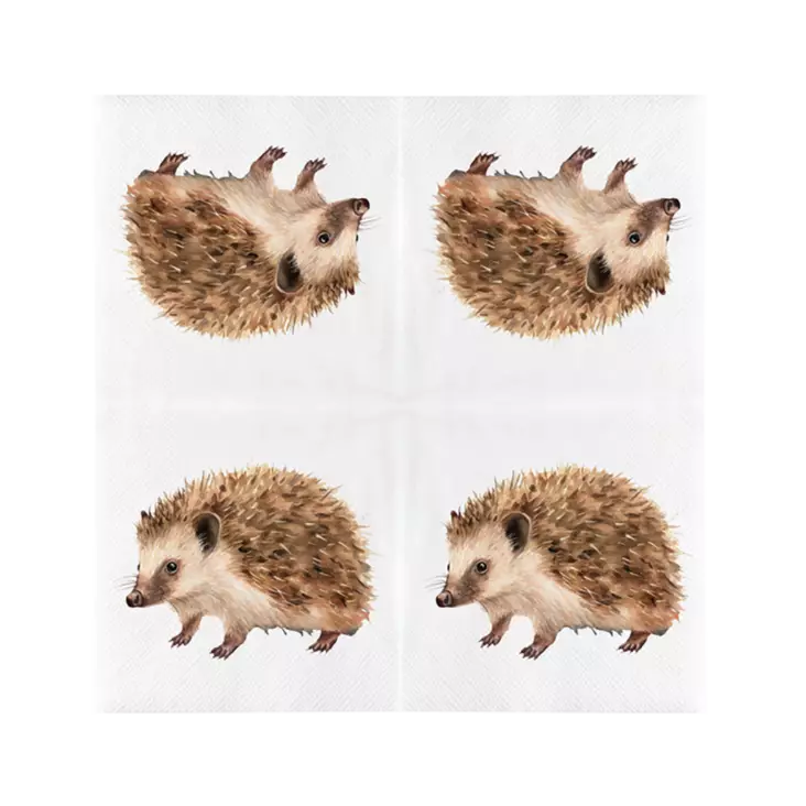 Igelkotservetter 20 st/fp - Fågelrelaterade produkter - 8714982286490 - 1