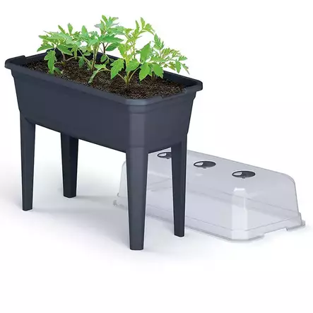 Blomlåda med fröodlingslock - Plantuppfödning - 5905197363981 - 1