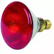 Värmelampa 175W röd tryckglas - Djurskötselutrustning - 8716106839001 - 3
