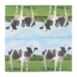 Servett Ko 33x33cm - Andra vackra saker - 8714982113451 - 2
