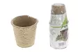 Torvkruka rund 8x8cm 12 st/fp - Plantuppfödning - 6410411009631 - 1