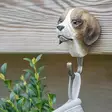Wildlife Garden väggkrok Hund - Naturrelaterade produkter - WG511 - 2