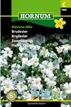 Sommarhägg 'Maxima Alba' - Frön och sättpotatisar. - 5708787018601 - 1