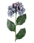 Hortensia gren lavendelblå - Hobbyartiklar - 6410416486901 - 1