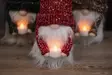 Tomte med LED-ljus - Juldekorationer - 6410416569611 - 2