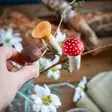 - Naturrelaterade produkter - 7350054767231 - 3