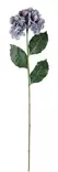 Hortensia gren lavendelblå - Hobbyartiklar - 6410416486901 - 2