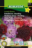 Koreatörmäk, sorten ´Lonely Queen´ - Frön och sättpotatisar. - 5708787021151 - 1