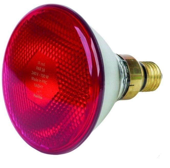 Värmelampa 175W röd tryckglas - Djurskötselutrustning - 8716106839001 - 3