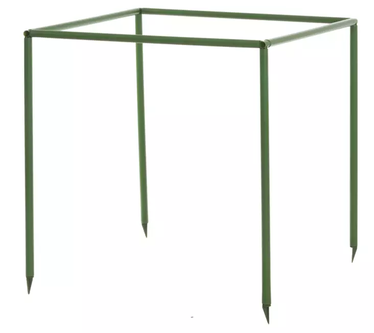 Bärbuskstöd i plast 80 cm - Växtstöd - 6410410194451 - 1