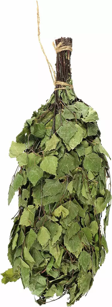 Avslappnad bastukvast torkad björk - Bastutillbehör - 6410416258041 - 1