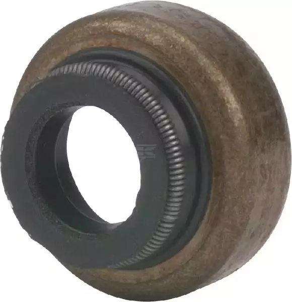 B&S 697338 ventilskaftstätning - Reservdelar för lokal motorer - 024847020731 - 1