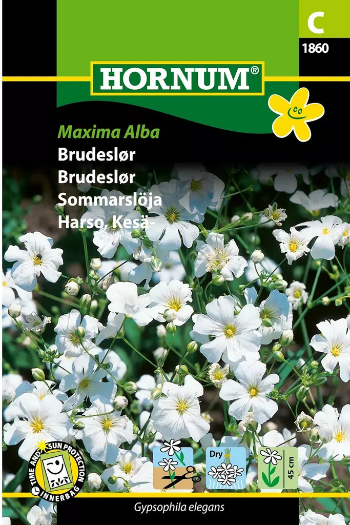 Sommarhägg 'Maxima Alba' - Frön och sättpotatisar. - 5708787018601 - 1