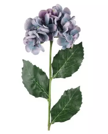 Hortensia gren lavendelblå - Hobbyartiklar - 6410416486901 - 1