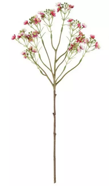 Vaxblomma rosa - Hobbyartiklar - 6410416529271 - 1