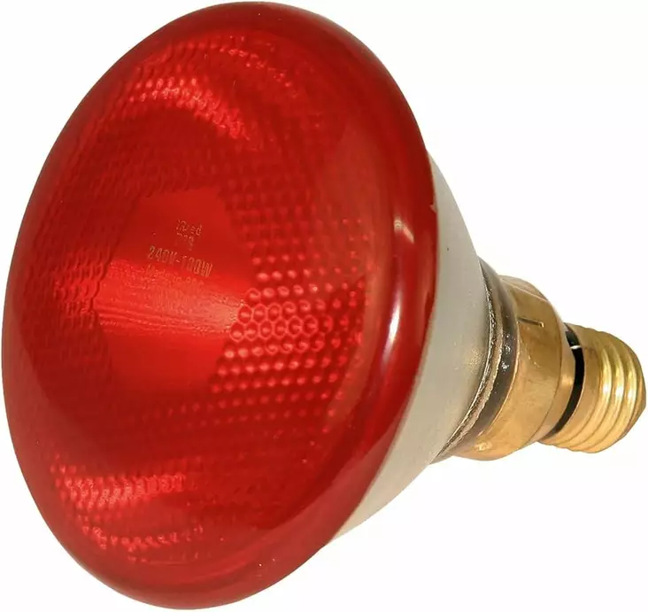 Infraröd lampa ECO 100W pressat glas röd - Fjäderfä - 4018653222461 - 1
