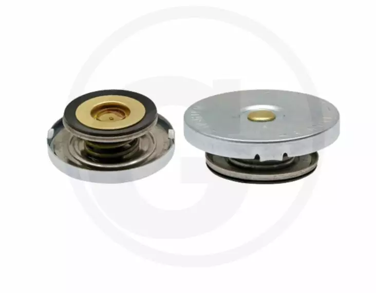 Kylsystemets lock MF - Andra traktortillbehör - 4250808723731 - 1