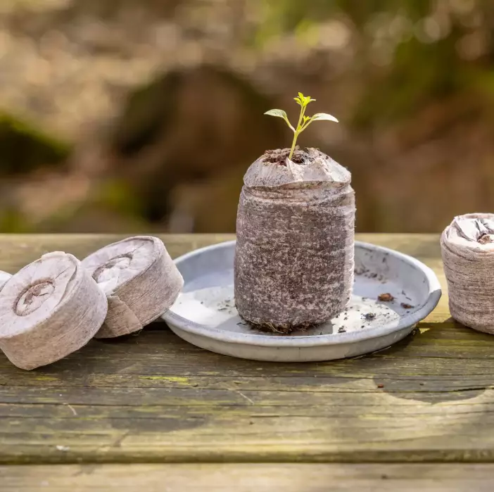 Kylvöbriketter kokos 50 st/fp - Jord och gödselmedel - 8714982213441 - 1