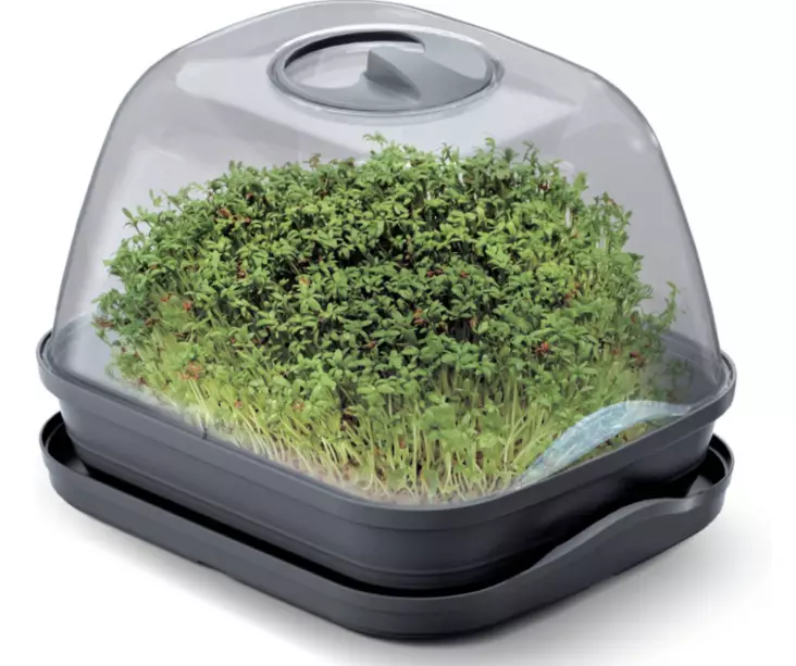 Bordsglasväxthus S - Plantuppfödning - 5905197283081 - 1