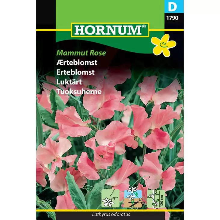 Doftärta 'Mammut Rose' - Frön och sättpotatisar. - 5708787017901 - 1