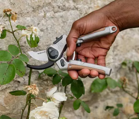 Kent & Stowe multifunktionella saxar - Grensaxar och sågar - 5023377020612 - 2