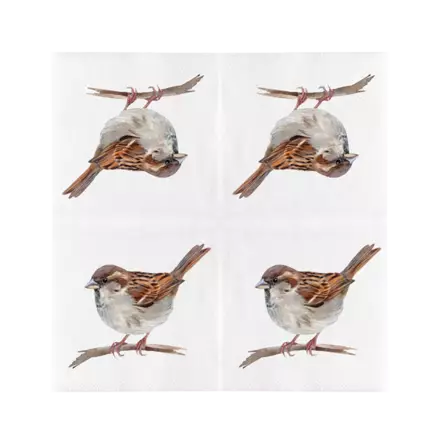 Fågel servetter 20 st/fp - Fågelrelaterade produkter - 8714982286452 - 1